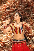 Theatre Lo Movie Stills